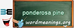 WordMeaning blackboard for ponderosa pine